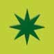 REVESTIMIENTO 20X20 DECORADO Pistacho Star 1 MATE - CPM